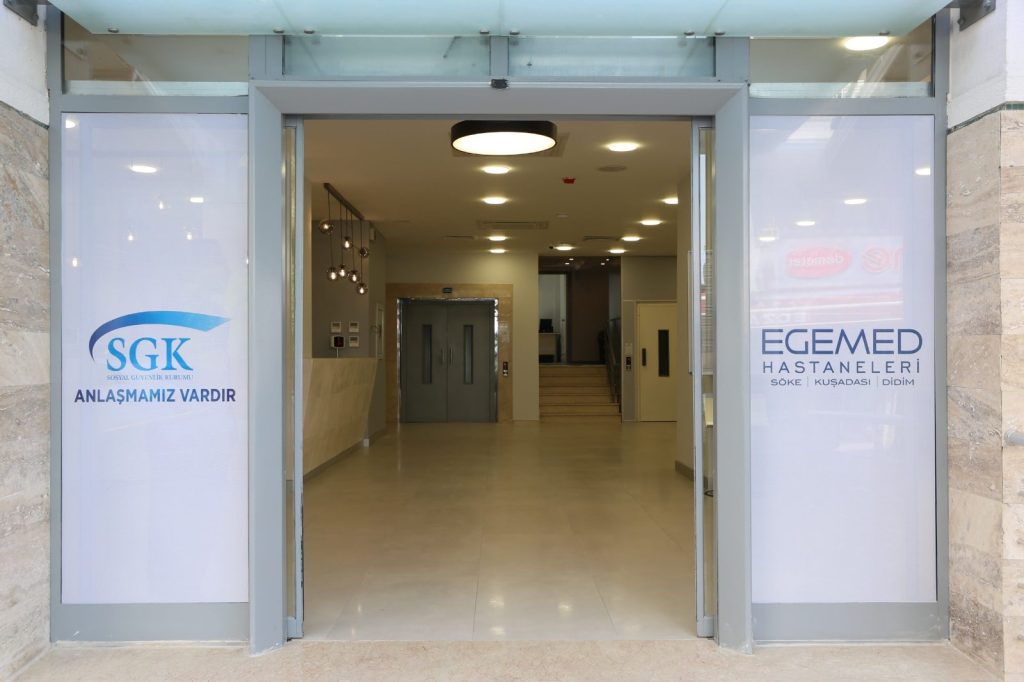 Egemed Hospital Capacity