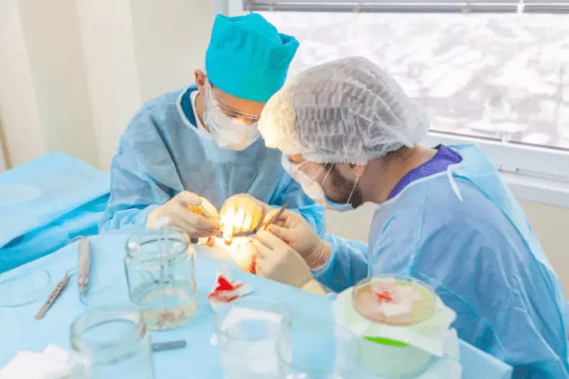 What Are the Price of a Hair Transplant in Serbia and the Best Hair Transplant Clinics 7 Background 39 4