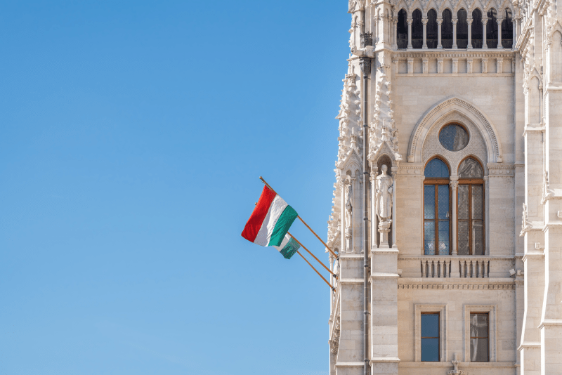 Hair Transplants in Hungary: How Much Are Hair Transplants in Hungary? 2 hair transplants in hungary budapest cost
